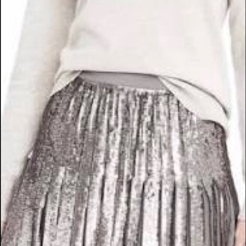 Silver/gray sequin skirt